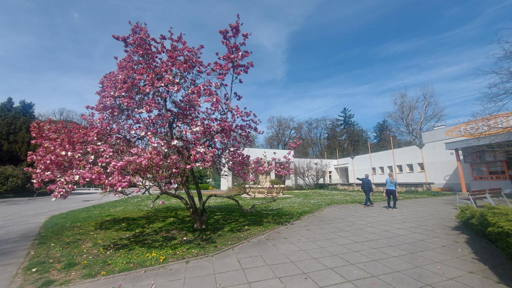 Vila Dom Na Cervenej Vezi Banka Exteriér fotografie